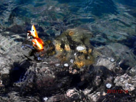 最後にドラマが・・・?