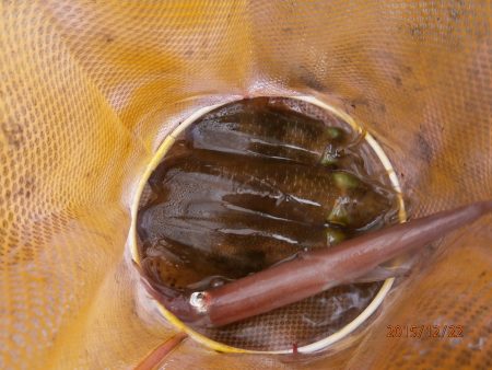 人生初　・・・