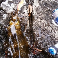 今年のおまけ！