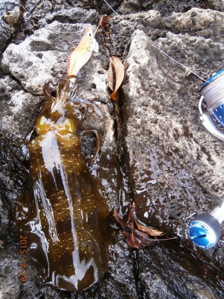 今年のおまけ！