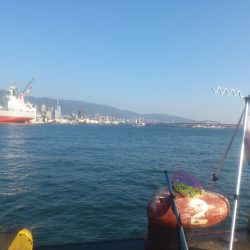 今年最後の兵突釣行