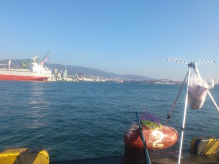 今年最後の兵突釣行