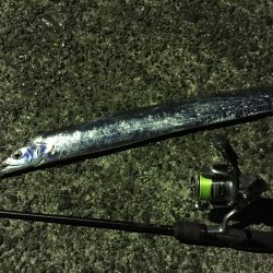 アジング時々サーベリング