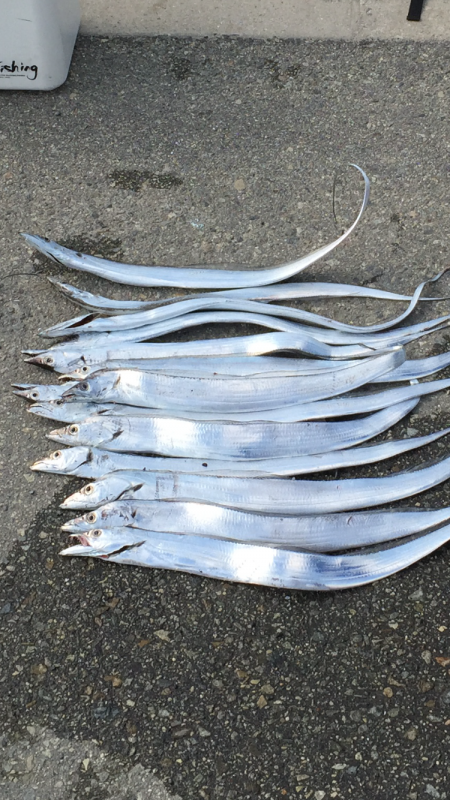 竿納したつもりが......