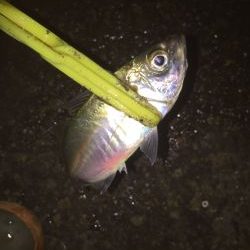 たまには違う場所で(^｡^)