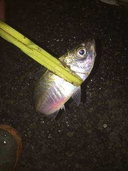 たまには違う場所で(^｡^)