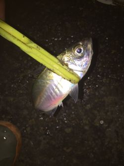 たまには違う場所で(^｡^)