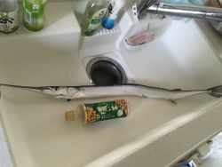 人が凄い（笑）