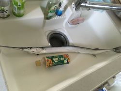 人が凄い（笑）