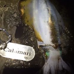 年内キロUP達成