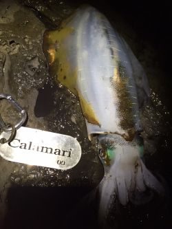 年内キロUP達成