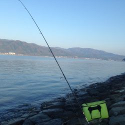 懲りずに2度目の挑戦。