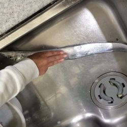 今週くらいで終わりかな、太刀魚