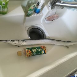 人が凄い（笑）