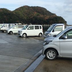 雨上がりの釣果