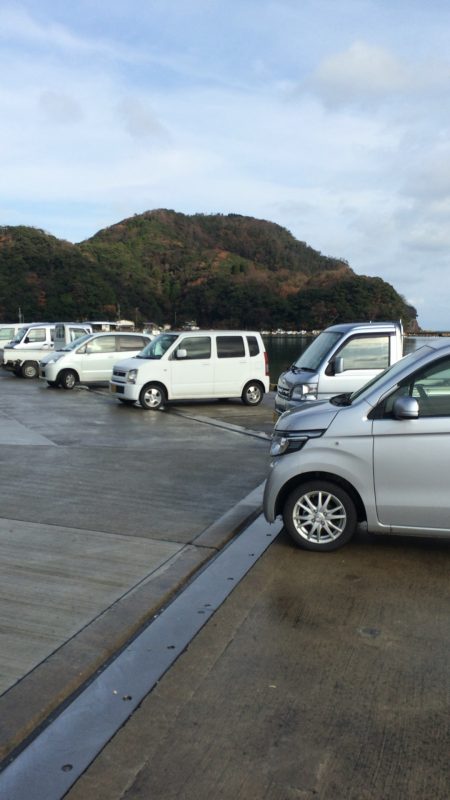雨上がりの釣果