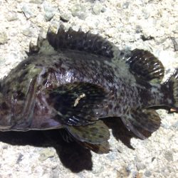 1時間だけですが…