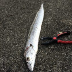 シーズン終盤で