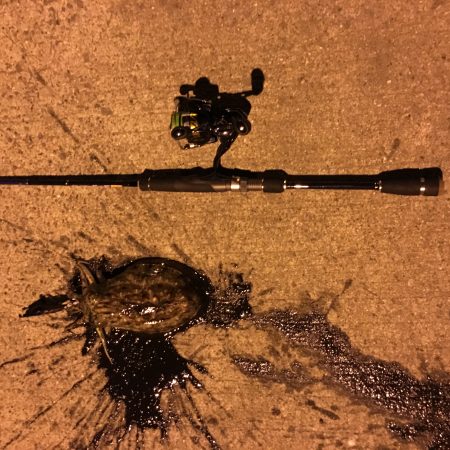 エギング&アジング？メバリング