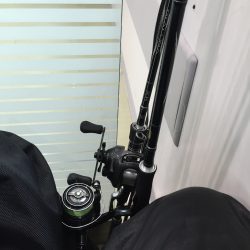 リバーシーバス