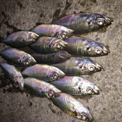 『視認性』を考える