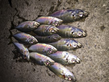 『視認性』を考える