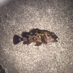 太刀魚ワインド納竿