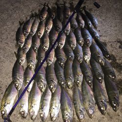 何をやっても釣れる日