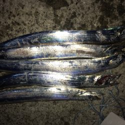 まだまだイケる？