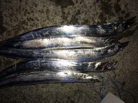 まだまだイケる？