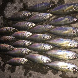 雨が降る前に、、、＆ 釣り場のゴミ