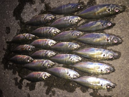 雨が降る前に、、、＆ 釣り場のゴミ