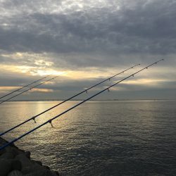 カレイ狙いvol.4