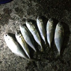 釣れないのは「自然相手だから」だけじゃありません。