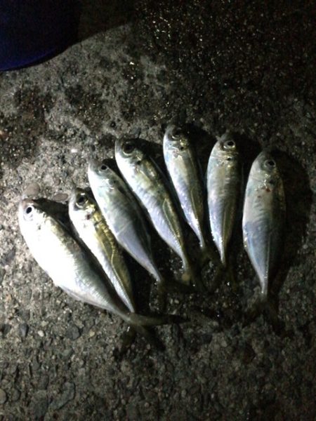 釣れないのは「自然相手だから」だけじゃあり…