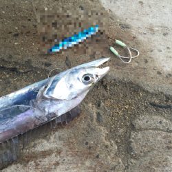 ワインド・ルアーには無反応