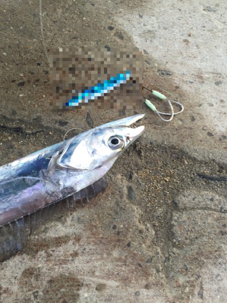 ワインド・ルアーには無反応