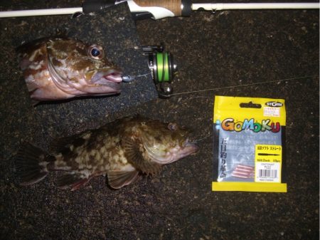 ロックフィシュ*\\(^o^)/*