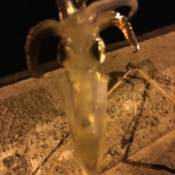 クリスマス釣りー