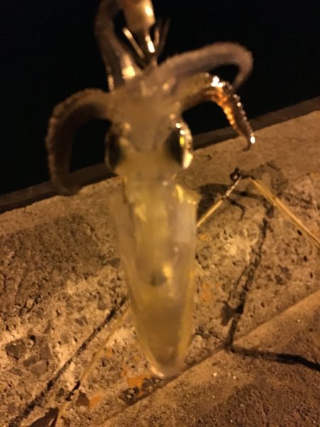 クリスマス釣りー