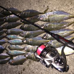 インプレッション