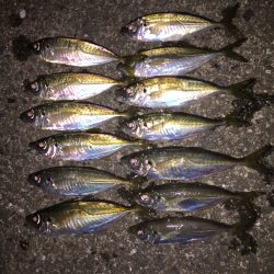 カウントダウンチェッカー