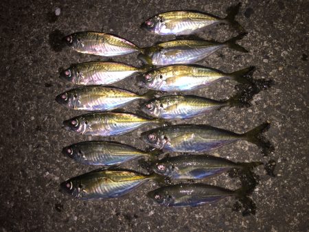 カウントダウンチェッカー