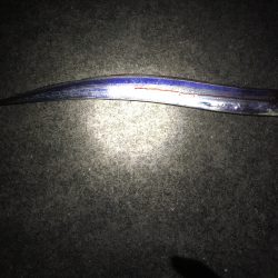 今日は時合タイムに。