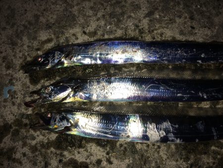 まだ見ぬドラゴン