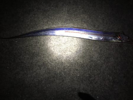 今日は時合タイムに。