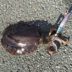 極寒の中がんばりましたー(⌒-⌒; )