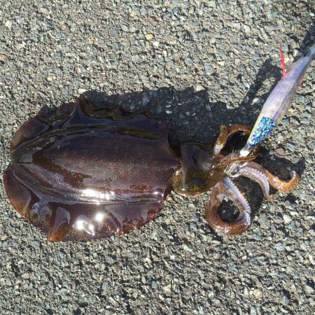 極寒の中がんばりましたー(⌒-⌒; )