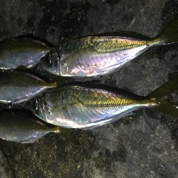 ウインドドリフト