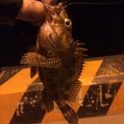 爆風ガシリング